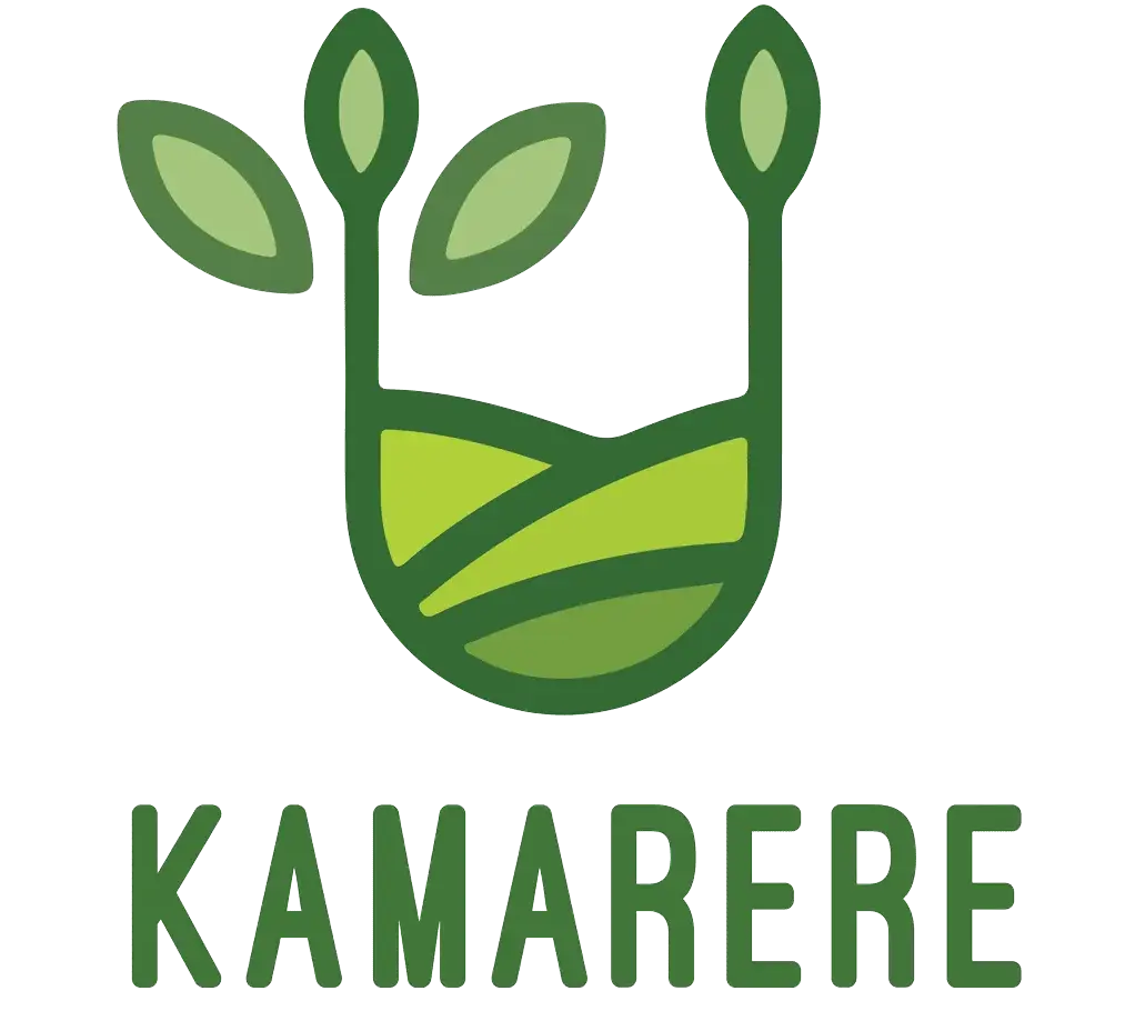 Kamarere