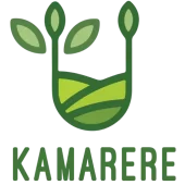 cropped-cropped-cropped-LogoKamarerelite.png.webp